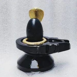 Narmade Shivling